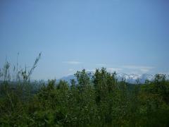 DSCN0519.JPG