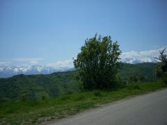 DSCN0521.JPG