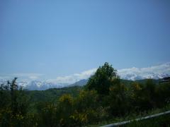 DSCN0522.JPG