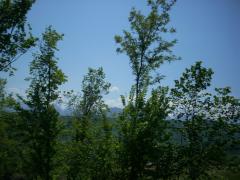 DSCN0561.JPG