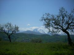 DSCN0562.JPG