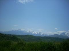 DSCN0564.JPG