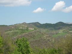 DSCN0567.JPG