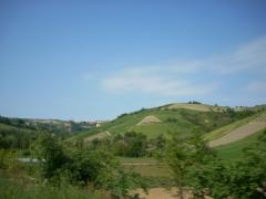 DSCN0597.JPG