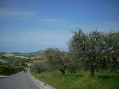 DSCN0615.JPG