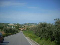 DSCN0616.JPG