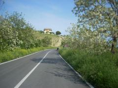 DSCN0622.JPG