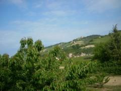 DSCN0626.JPG