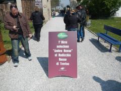 DSCN9380.JPG
