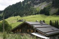 IMG_3575.JPG