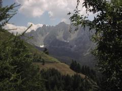 IMG_5389.JPG