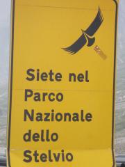 IMG_5515.jpg