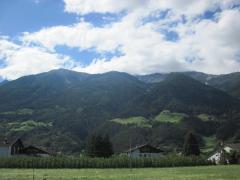 IMG_5596.JPG
