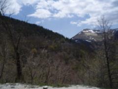 P5020110.JPG