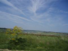 P5030322.JPG