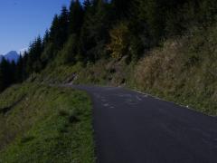 STA74215.JPG