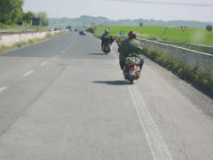 STA75319.JPG