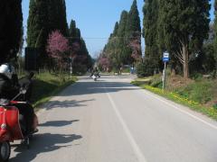 Granducato2009 464.jpg