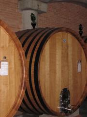 Immagine 124.jpg