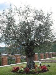 Immagine 209.jpg