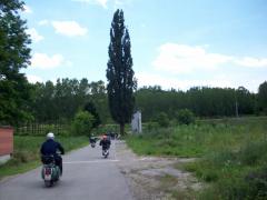 Immagine 20210.jpg