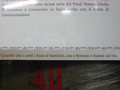 raid del prosecco 09 080.jpg