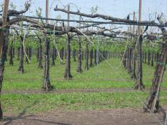 raid del prosecco 09 093.jpg