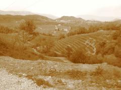 585a7c7340882-raiddelprosecco09174.jpg