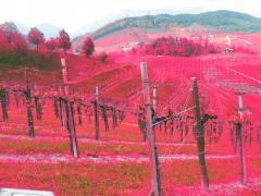 raid del prosecco 09 179.jpg