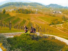 raid del prosecco 09 183.jpg