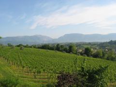 raid del prosecco 09 268.jpg
