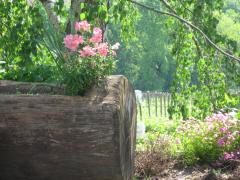 raid del prosecco 09 280.jpg