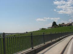 raid del prosecco 09 333.jpg