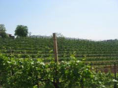 raid del prosecco 09 335.jpg