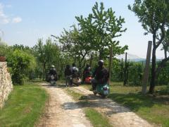 raid del prosecco 09 336.jpg