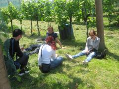raid del prosecco 09 348.jpg