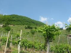 raid del prosecco 09 350.jpg
