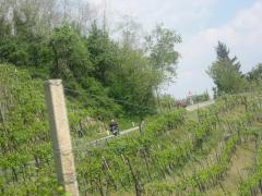 raid del prosecco 09 353.jpg