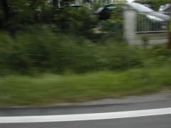 Immagine 129.jpg
