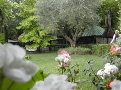 Immagine 210.jpg