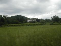 Immagine 225.jpg