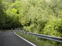 Immagine 232.jpg