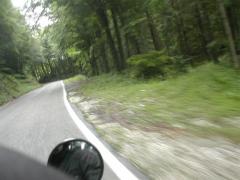 Immagine 264.jpg