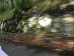 Immagine 265.jpg