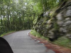 Immagine 266.jpg