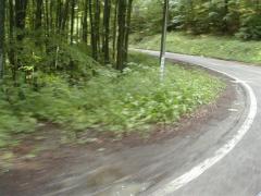 Immagine 267.jpg