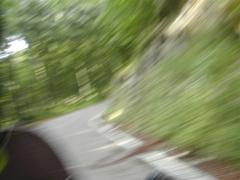 Immagine 268.jpg