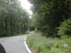 Immagine 270.jpg