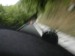 Immagine 274.jpg