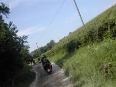 Immagine 308.jpg